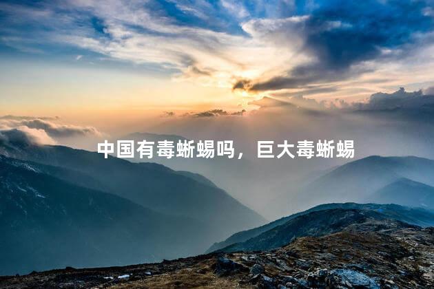 中国有毒蜥蜴吗，巨大毒蜥蜴