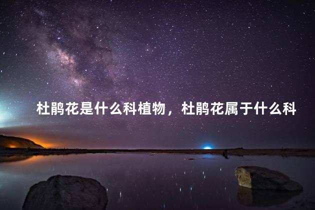 杜鹃花是什么科植物，杜鹃花属于什么科