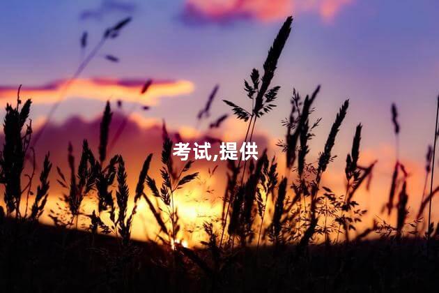滴滴出行的网约证怎么考 滴滴网约证怎么办理