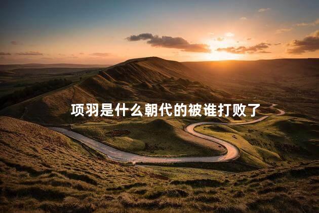 项羽是什么朝代的被谁打败了，至今思项羽中项羽被谁打败